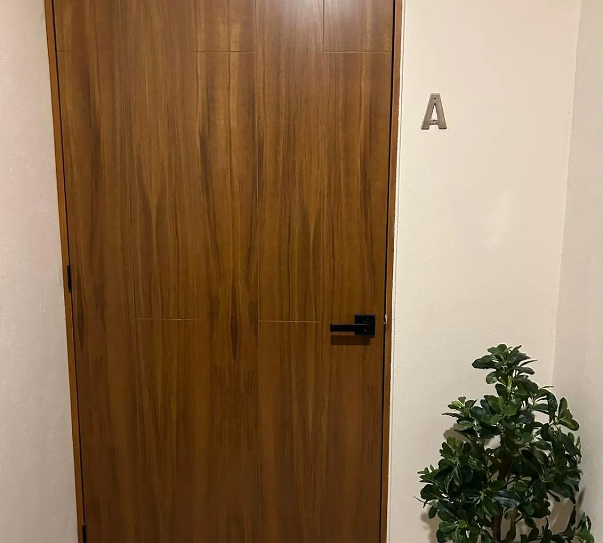 New Centric 1Br Apartment With Gym & Pool Cancún